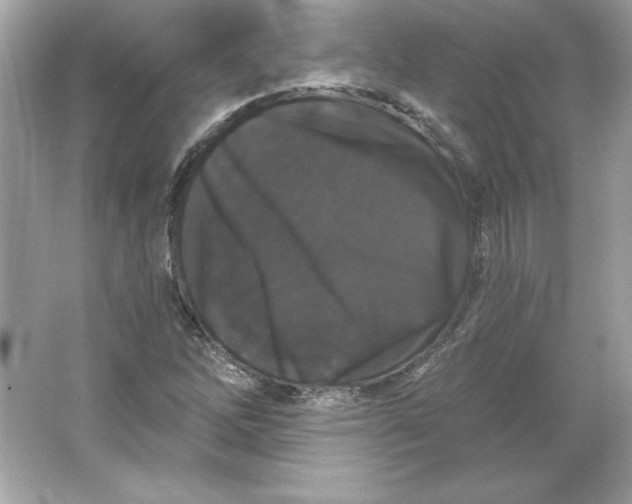 X0000066011262200603171456