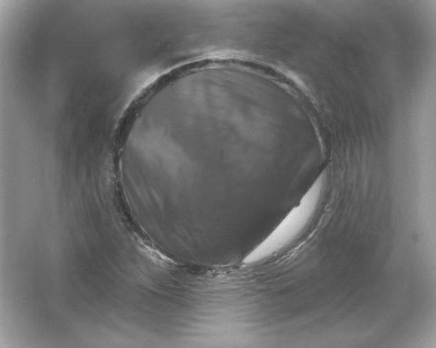 X0000066011263200603171456