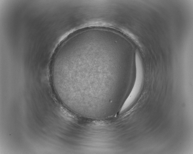 X0000066011264200603171456