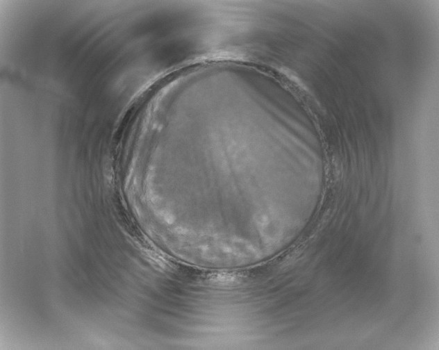 X0000066011266200603171456