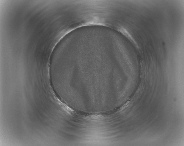 X0000066011268200603171456