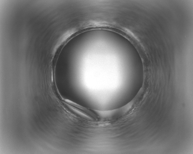 X0000066011269200603171456