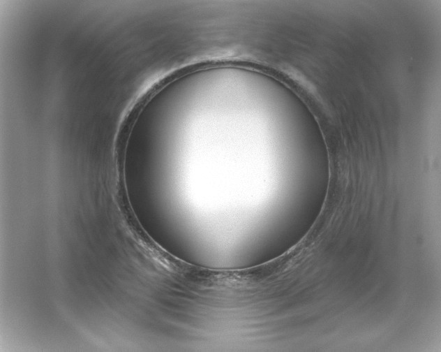 X0000066011270200603171456