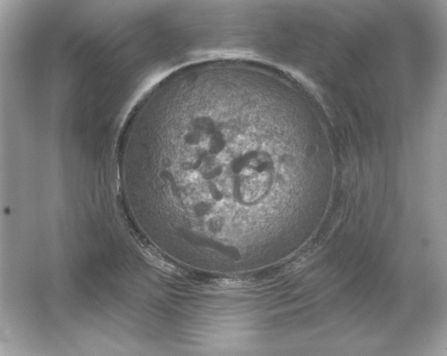 X0000066011271200603171456