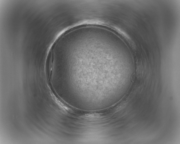 X0000066011272200603171456