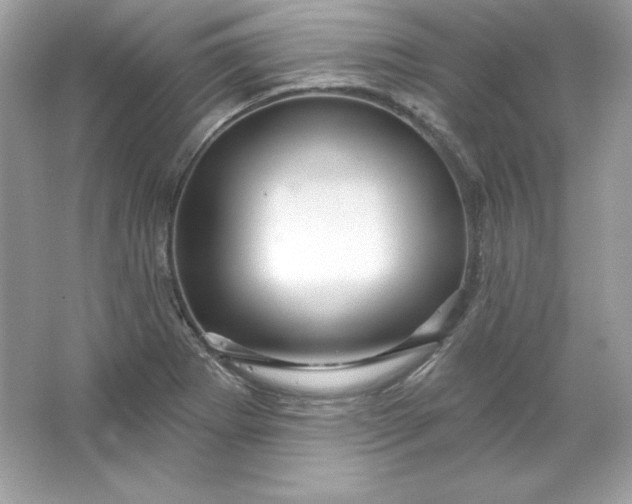 X0000066011273200603171456