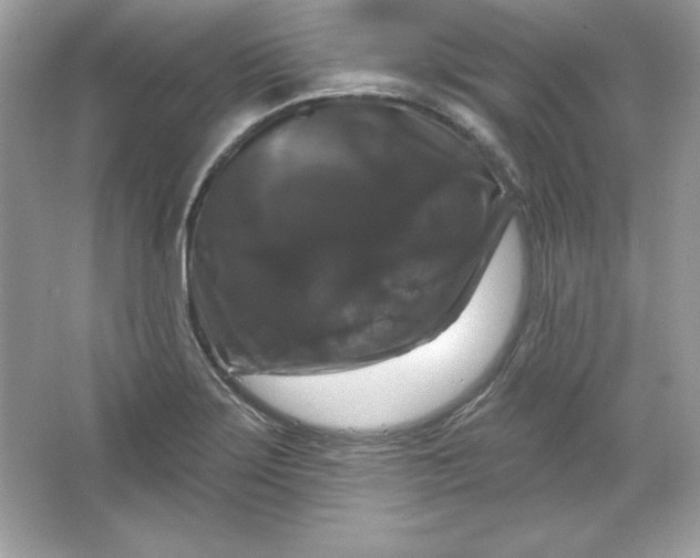 X0000066011275200603171456