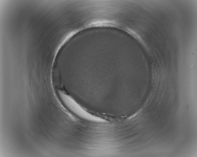 X0000066011277200603171456