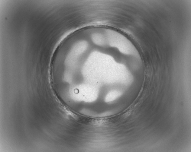 X0000066011278200603171456