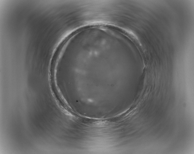 X0000066011279200603171456