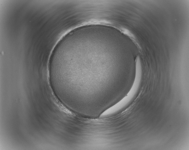 X0000066011280200603171456