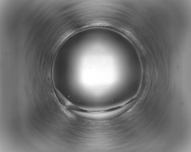 X0000066011281200603171456