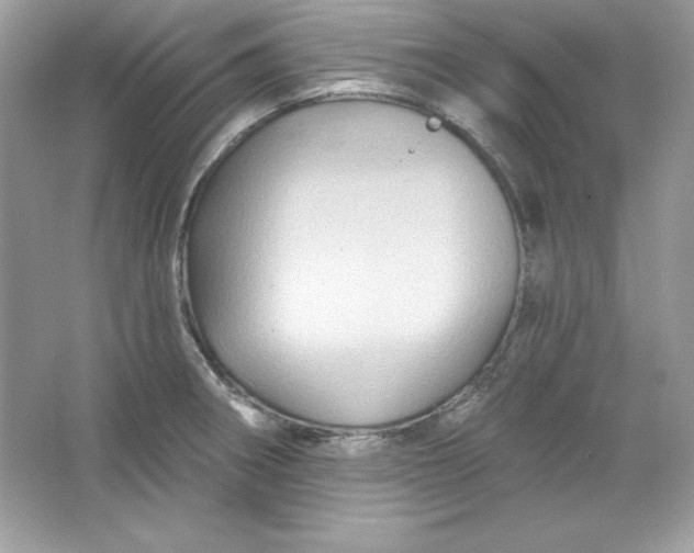 X0000066011282200603171456