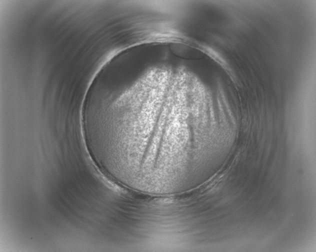 X0000066011283200603171456