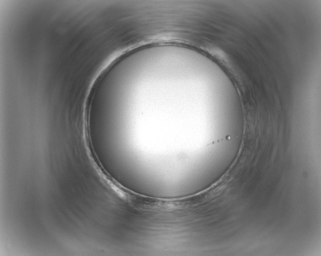 X0000066011286200603171456