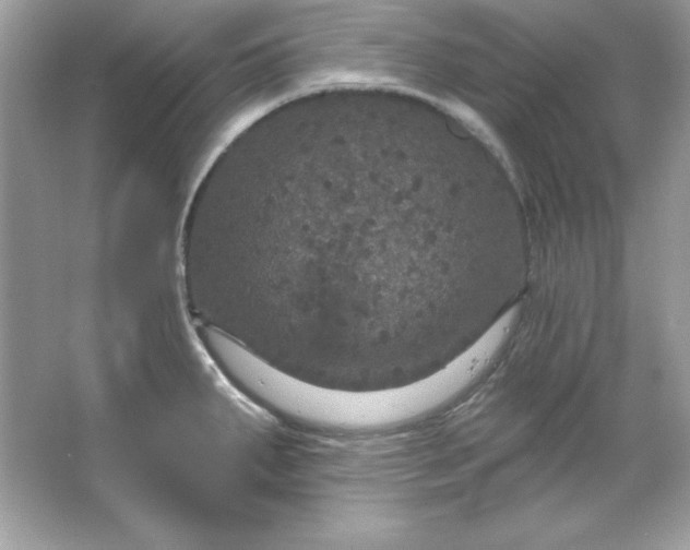 X0000066011287200603171456