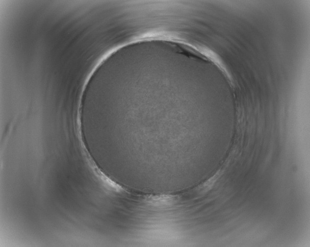 X0000066011288200603171456