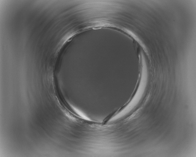 X0000066011289200603171456