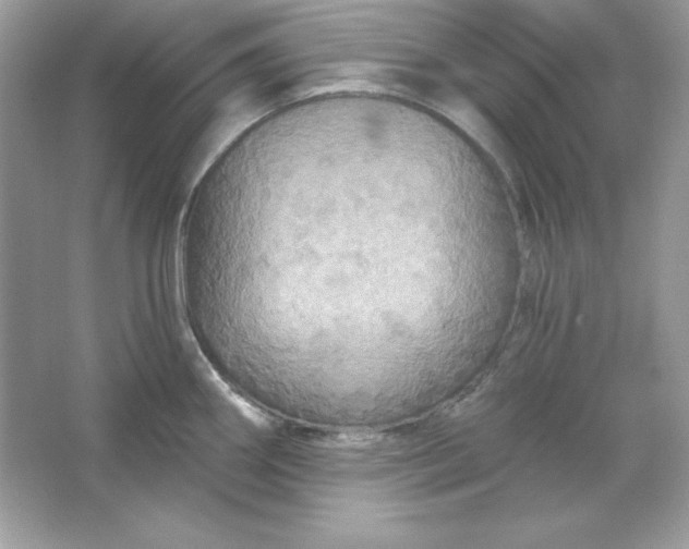 X0000066011290200603171456