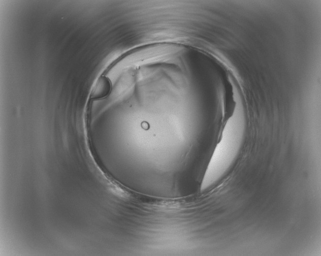 X0000066011291200603171456