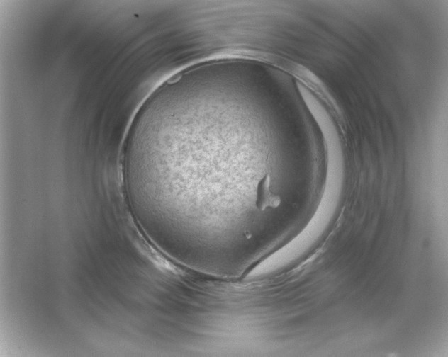 X0000066011292200603171456