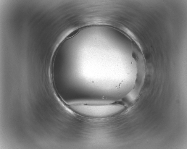 X0000066011293200603171456