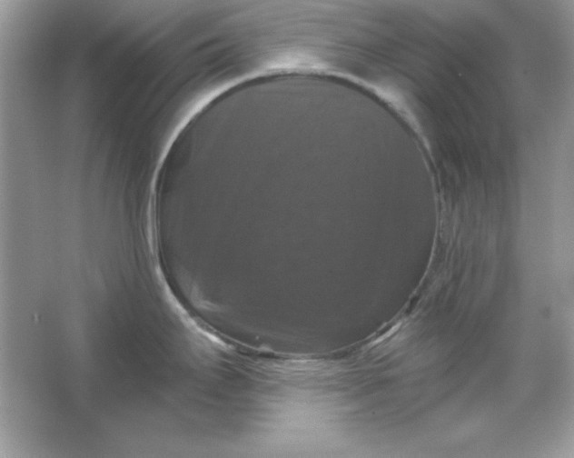 X0000066011295200603171456