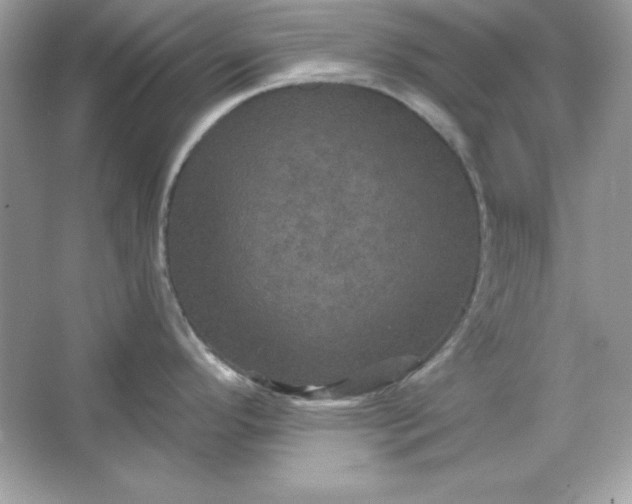 X0000066011296200603171456