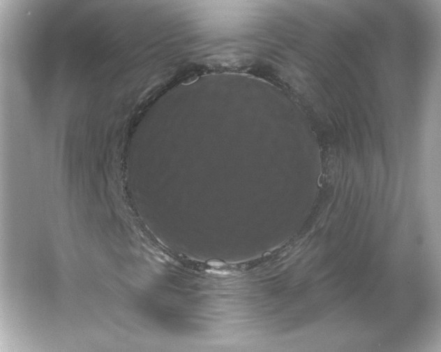 X0000066011297200603171455