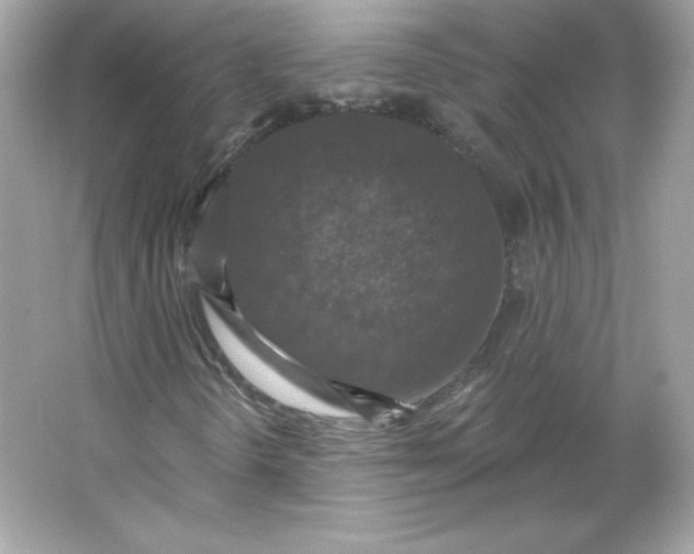 X0000066011298200603171455