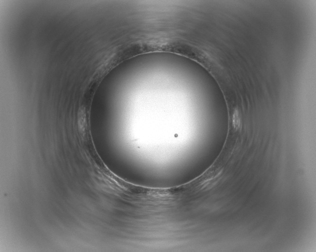 X0000066011299200603171455