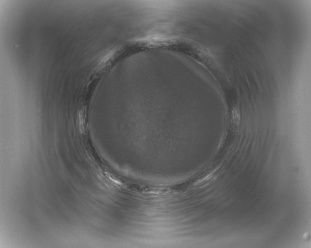 X0000066011300200603171455