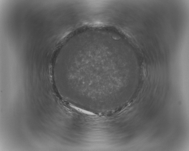 X0000066011301200603171455