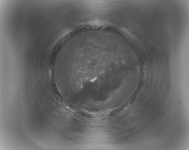 X0000066011302200603171455