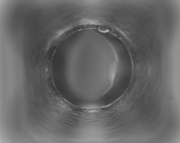 X0000066011303200603171455