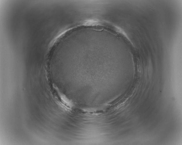 X0000066011304200603171455