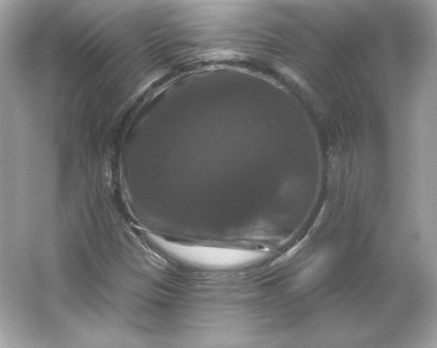 X0000066011305200603171455