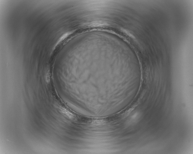 X0000066011306200603171455