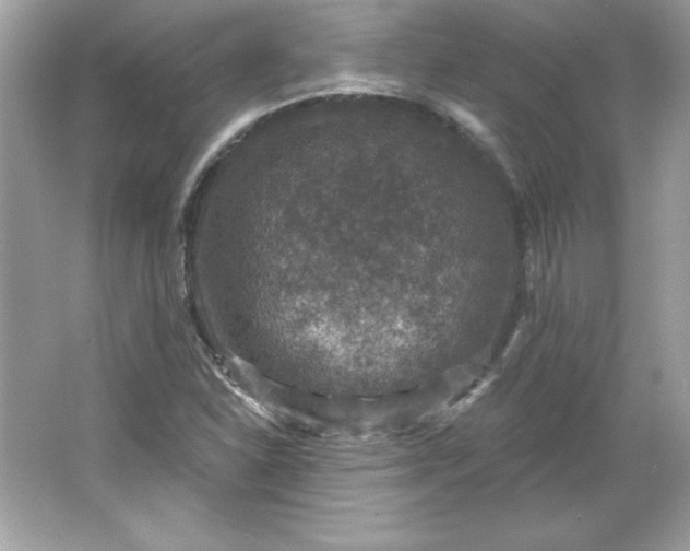 X0000066011310200603171455