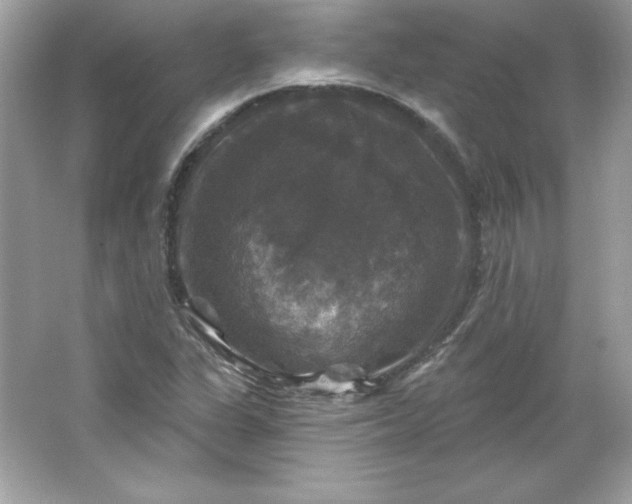 X0000066011311200603171455