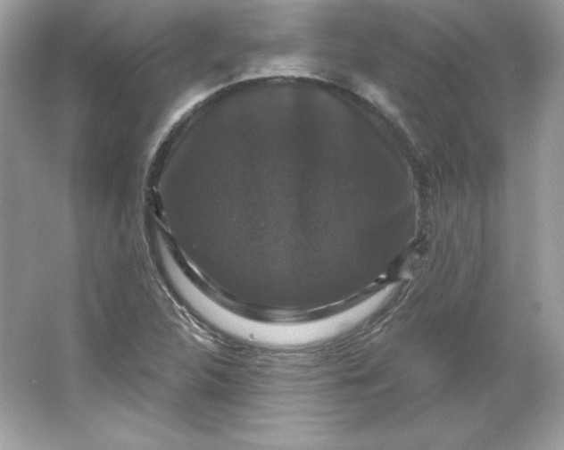 X0000066011312200603171455