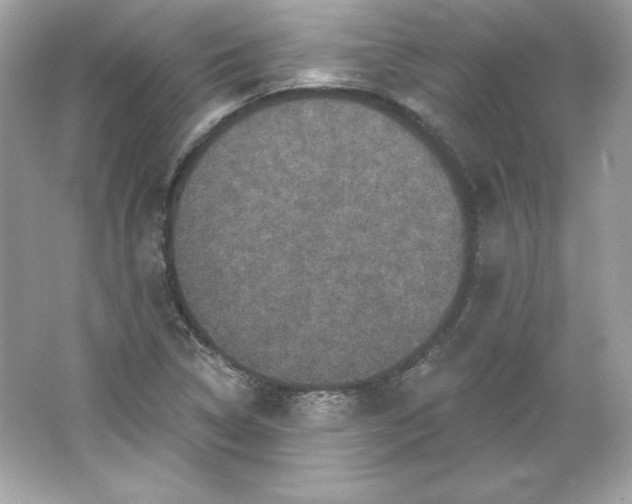 X0000066011314200603171455