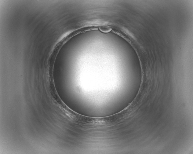 X0000066011315200603171455