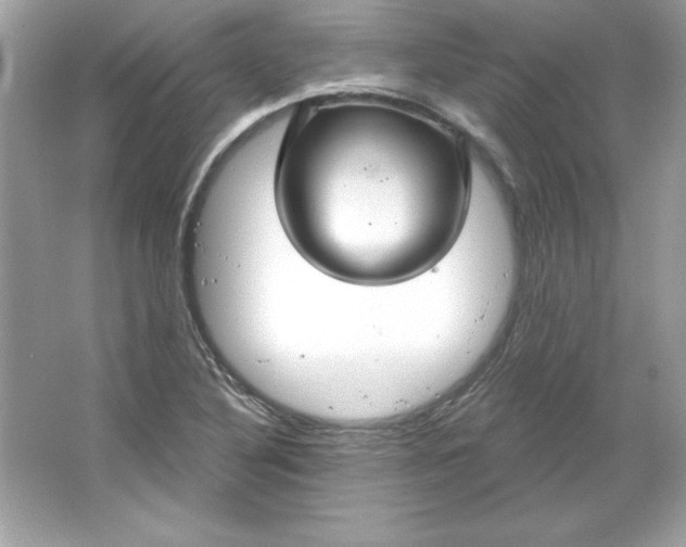 X0000066011316200603171455