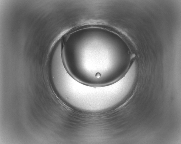 X0000066011317200603171455