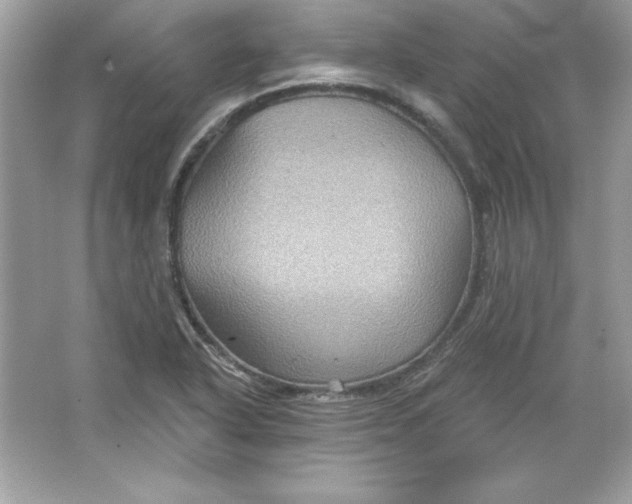 X0000066011318200603171455