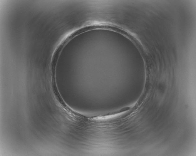 X0000066011319200603171455