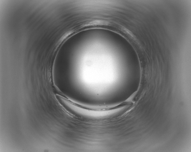 X0000066011321200603171455