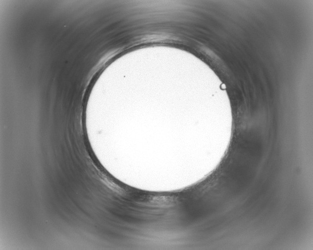 X0000066011322200603171455