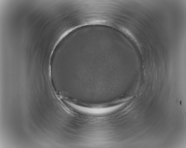 X0000066011324200603171456